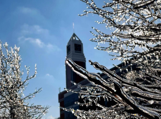 念奴嬌 冬初雪