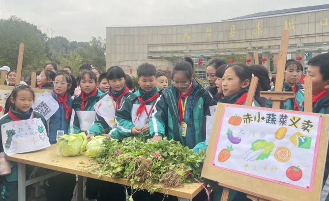 天臺縣赤城小學校園蔬菜義賣活動